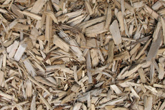 biomass boilers Whitespots